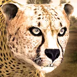 Ultimate Cheetah Simulator | Indus Appstore | App Icon