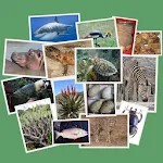 IDentifyIt Species | Indus Appstore | App Icon