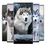 Wolf Wallpaper | Indus Appstore | App Icon