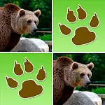 Wild Animals Memory Game | Indus Appstore | App Icon