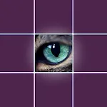 Eye Test | Indus Appstore | App Icon