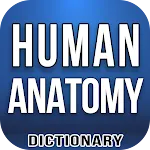 Human Anatomy Dictionary | Indus Appstore | App Icon