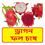 ড্রাগন ফল চাষের পদ্ধতি | Indus Appstore | App Icon