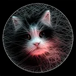 String Art Maker Pro | Indus Appstore | App Icon