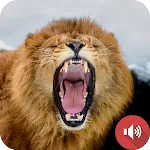 Lion Sounds | Indus Appstore | App Icon