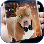 Biggest Pitbull Keyboard | Indus Appstore | App Icon