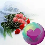 Wedding HD Wallpapers | Indus Appstore | App Icon