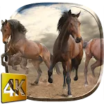 Wild Horses Live Wallpaper | Indus Appstore | App Icon