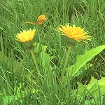 Spring Flowers 3D LWP | Indus Appstore | App Icon