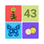 Find pair. Improve your memory | Indus Appstore | App Icon