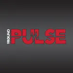 9Round Pulse | Indus Appstore | App Icon