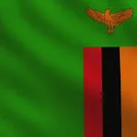 All Zambia Newspapers | Indus Appstore | App Icon