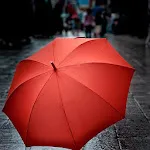 Umbrella Wallpapers | Indus Appstore | App Icon