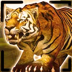 Tiger King Simulator | Indus Appstore | App Icon