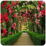 Garden photos frames | Indus Appstore | App Icon