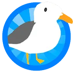 Flying Poo - Seagull Simulator | Indus Appstore | App Icon