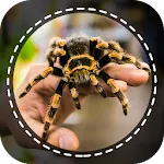 Spider Identifier App by Photo | Indus Appstore | App Icon