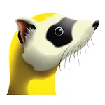 Ferret WiFi | Indus Appstore | App Icon