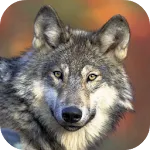 Wolf Wallpapers | Indus Appstore | App Icon