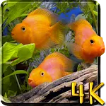 Aquarium 4K Live Wallpaper | Indus Appstore | App Icon