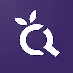 QC Inspector | Indus Appstore | App Icon