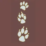 Milford Veterinary Clinic | Indus Appstore | App Icon