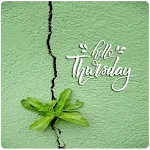 Have a Great Thursday | Indus Appstore | App Icon