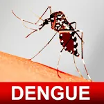 Dengue Fever Cure & Foods Diet | Indus Appstore | App Icon