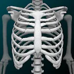 Osseous System in 3D (Anatomy)app icon