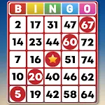 Bingo - Offline Bingo Gamesapp icon