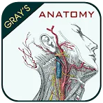 Gray's Anatomy - Anatomy Atlas | Indus Appstore | App Icon