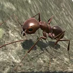 Ant Simulation 3D - Insect Sur | Indus Appstore | App Icon