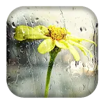 Rain Sounds | Indus Appstore | App Icon