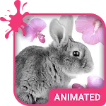 Cute Bunny Wallpaper Theme | Indus Appstore | App Icon