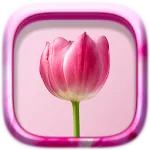 Picture Puzzle: Flowers | Indus Appstore | App Icon