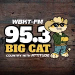 95.3 Big Cat | Indus Appstore | App Icon