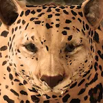 Ultimate Leopard Simulator | Indus Appstore | App Icon