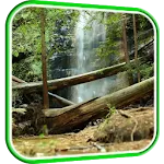 Waterfall in Forest LWP | Indus Appstore | App Icon