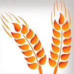 Celiac Disease Wheat & Gluten | Indus Appstore | App Icon