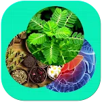 Cây thuốc, Vị thuốc, Biệt dược | Indus Appstore | App Icon