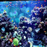 Aquarium Sound | Indus Appstore | App Icon