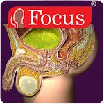 Urology - Medical Dictionary | Indus Appstore | App Icon