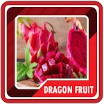 dragon fruit cultivation | Indus Appstore | App Icon