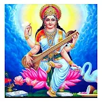 Saraswati Classes for Dsssb Ex | Indus Appstore | App Icon