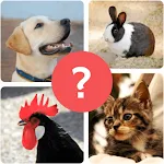 Animal Quiz - Guess Animal | Indus Appstore | App Icon