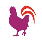 Ideal Chickenapp icon