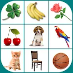 Brain game. Picture Match. | Indus Appstore | App Icon