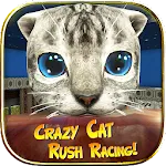 Crazy Cat Rush Racing | Indus Appstore | App Icon