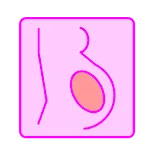 Pregnancy calculator | Indus Appstore | App Icon