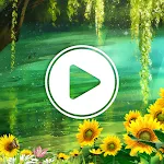 Video Live Wallpaper - HD Wall | Indus Appstore | App Icon